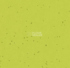 Линолеум Forbo Sphera Energetic 50214 lime фото 1 | FLOORDEALER